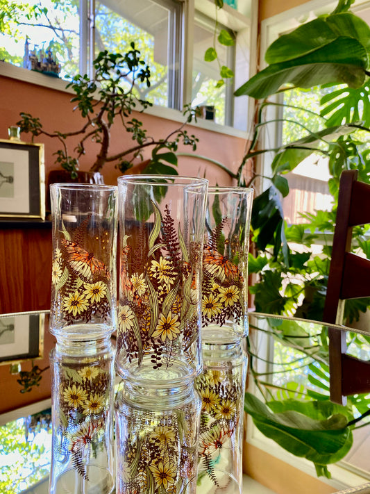 Retro Butterfly Drinking Glasses